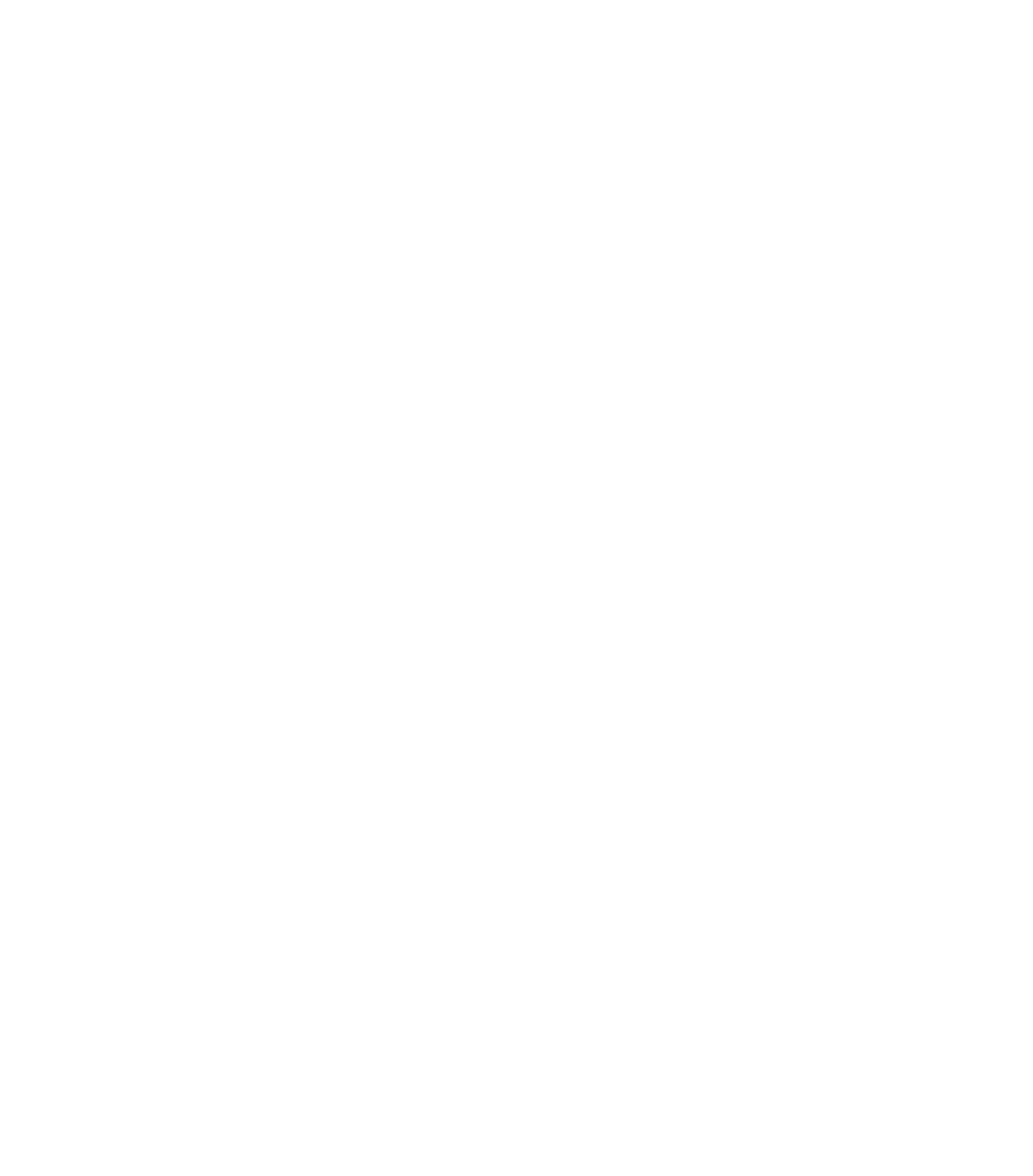 StrategicImpact_Logo_White